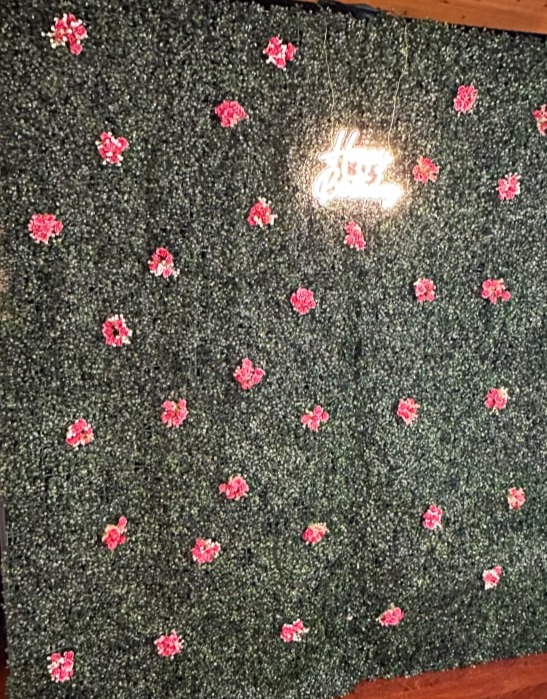 Event Greenery Wall for Mirror Booth and Photo Booth Rentals in Southern Tier NY