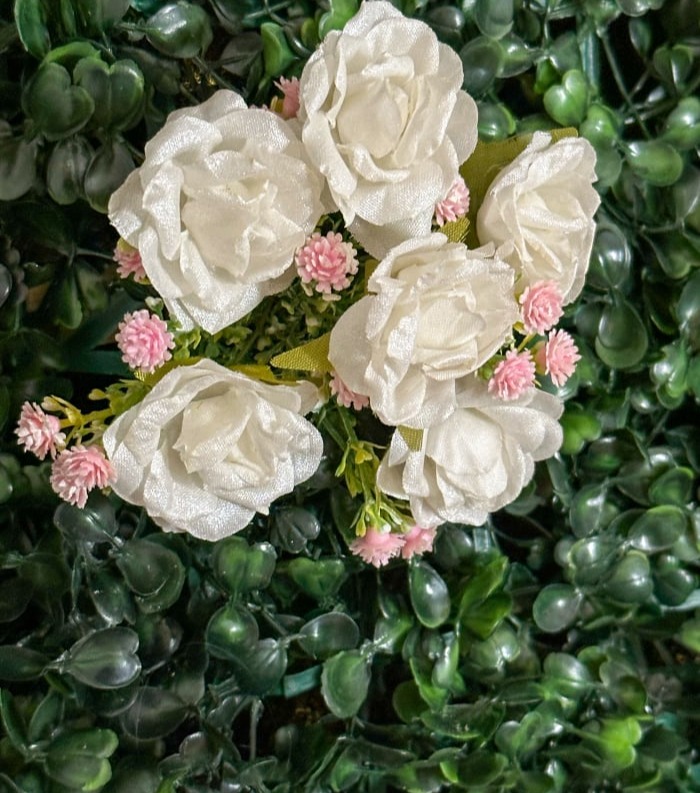 Event Greenery Wall for Mirror Booth and Selfie Booth Rentals in Southern Tier NY